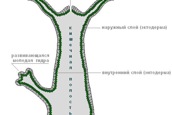 Кракен ссылка на сайт