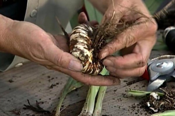 Вход в кракен чтобы купить меф