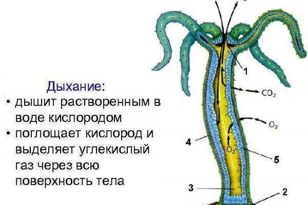 2krn