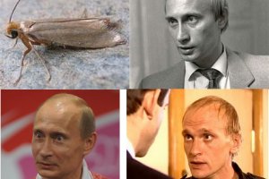 Скрытый интернет как войти